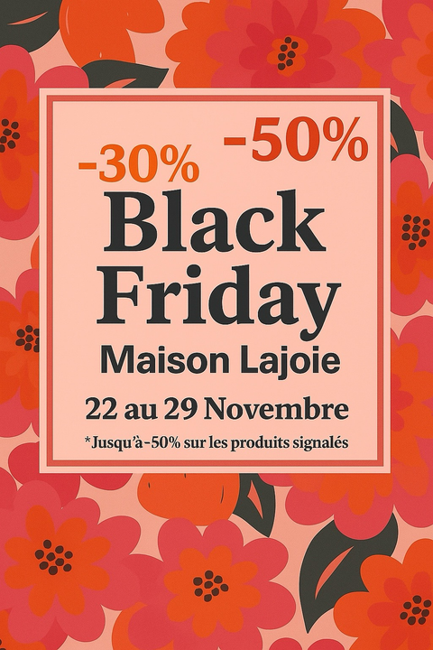 BLACK FRIDAY PRÉSENTATION